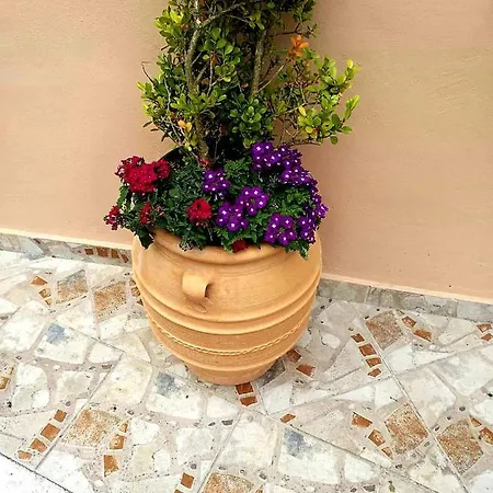 Apartmán Joy New Port Corfu Town *