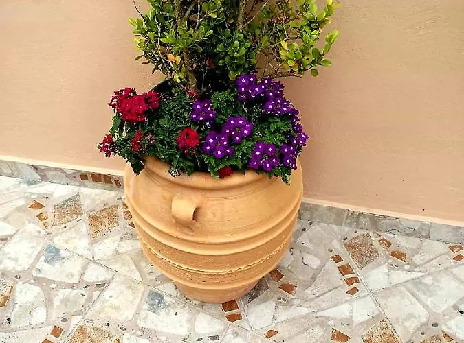 Apartamento Joy New Port Corfu Town *